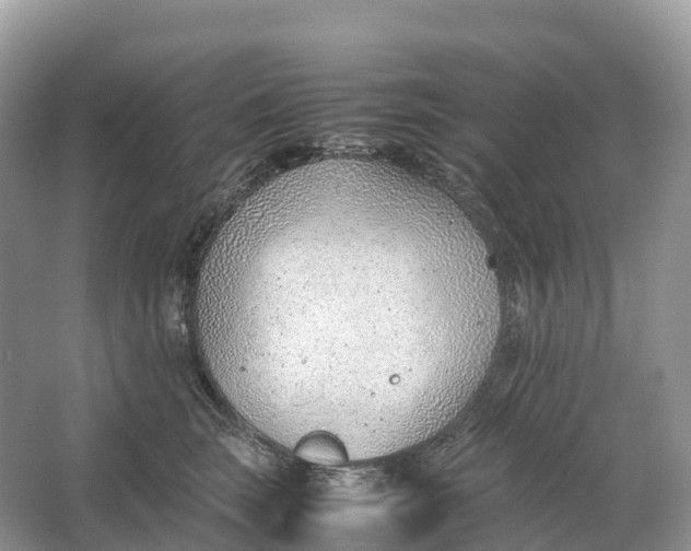 X0000064750663200602241838