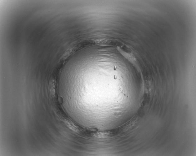 X0000064750664200602241838