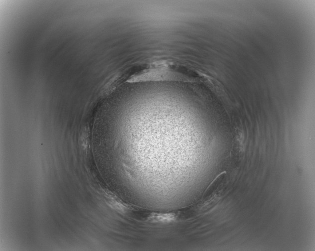 X0000064750665200602241838