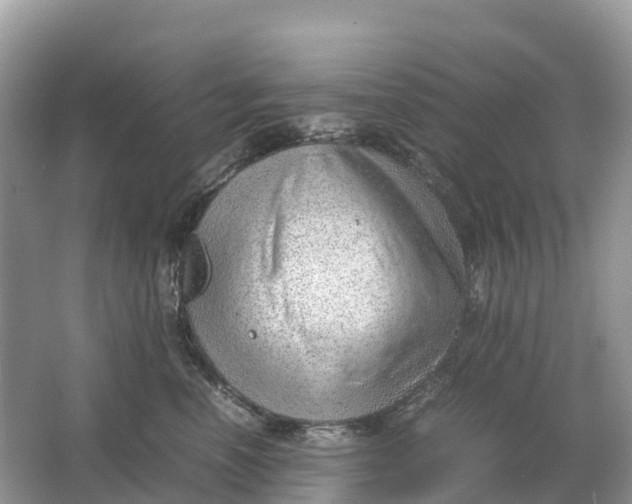 X0000064750666200602241838