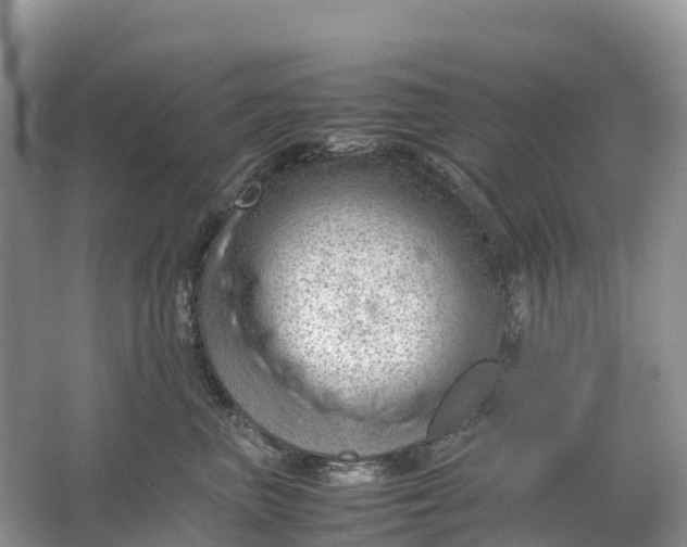 X0000064750667200602241838