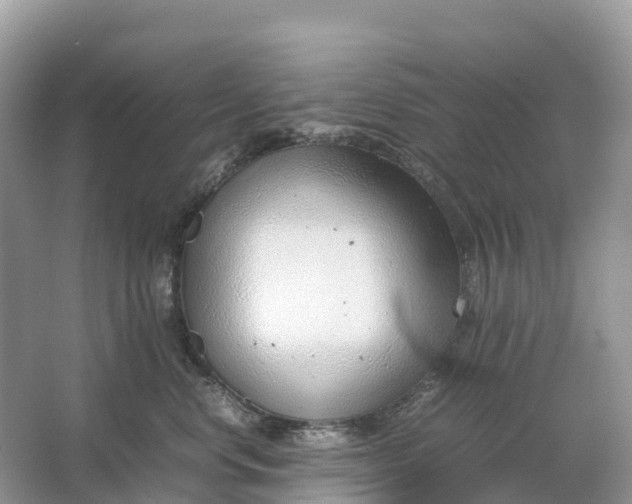 X0000064750668200602241838