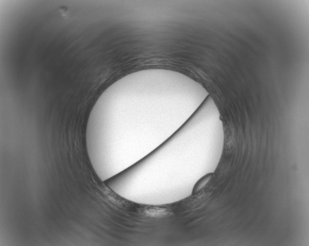 X0000064750669200602241838