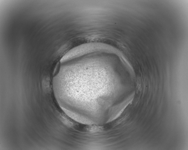 X0000064750670200602241838