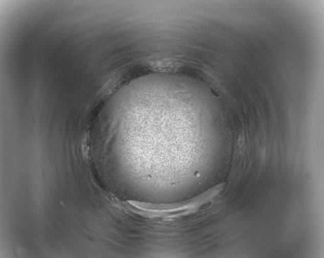 X0000064750671200602241838