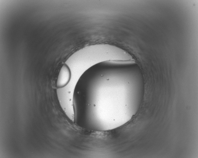 X0000064750672200602241838