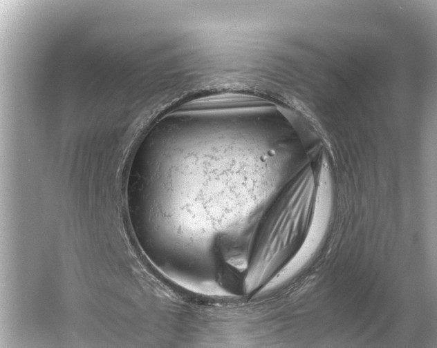 X0000064750673200602241837