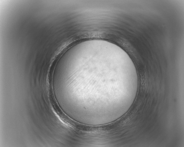 X0000064750674200602241837