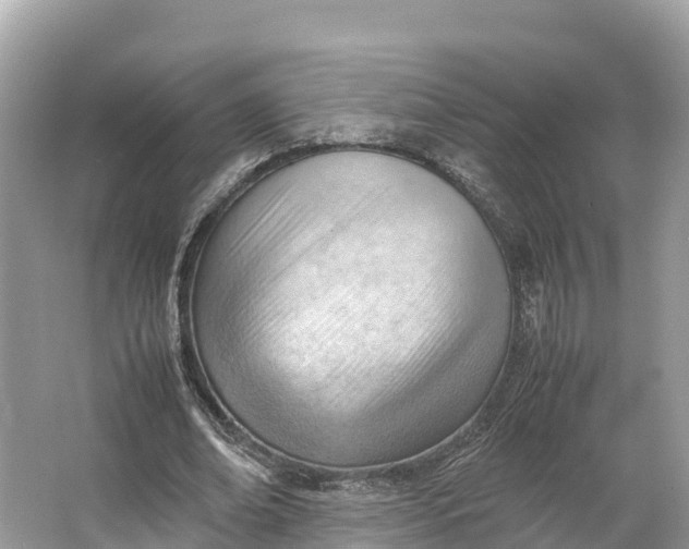 X0000064750678200602241837