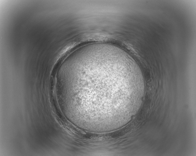 X0000064750679200602241837