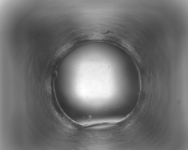 X0000064750681200602241837