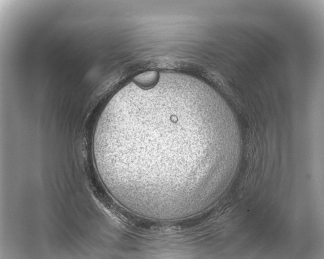 X0000064750683200602241837