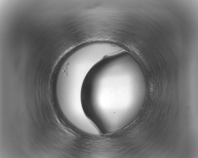 X0000064750684200602241837