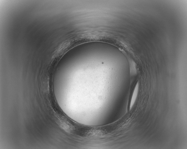 X0000064750685200602241837