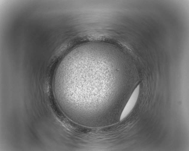 X0000064750687200602241837