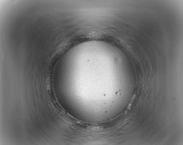 X0000064750689200602241837