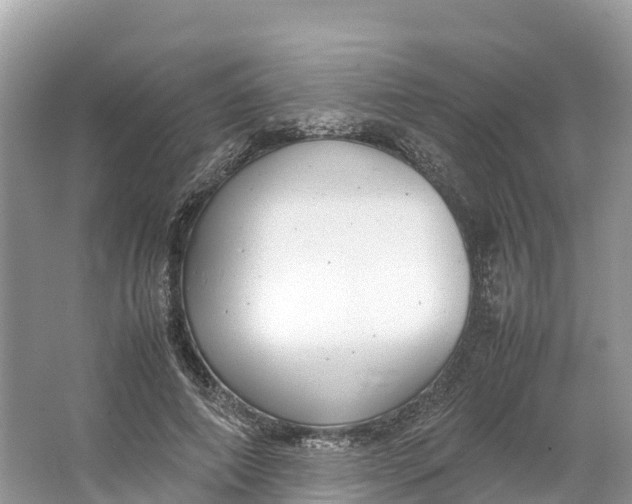 X0000064750690200602241837