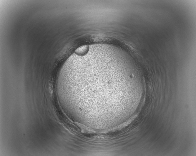 X0000064750691200602241837