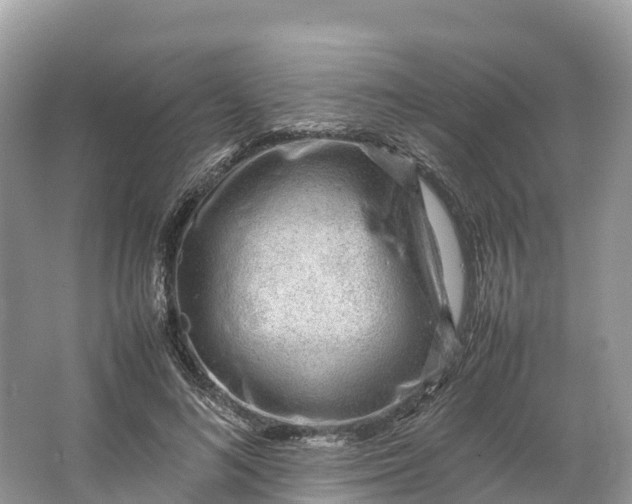 X0000064750692200602241836