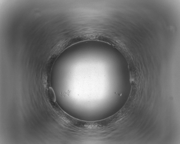 X0000064750693200602241836