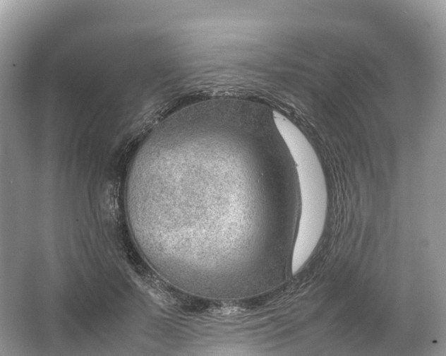 X0000064750695200602241836