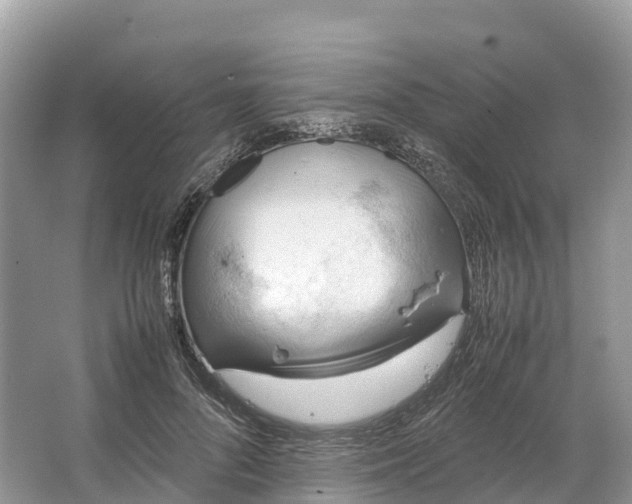 X0000064750696200602241836