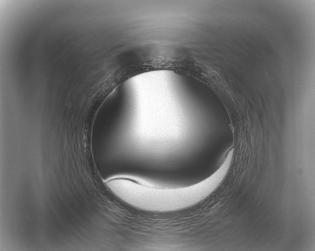 X0000064750697200602241836