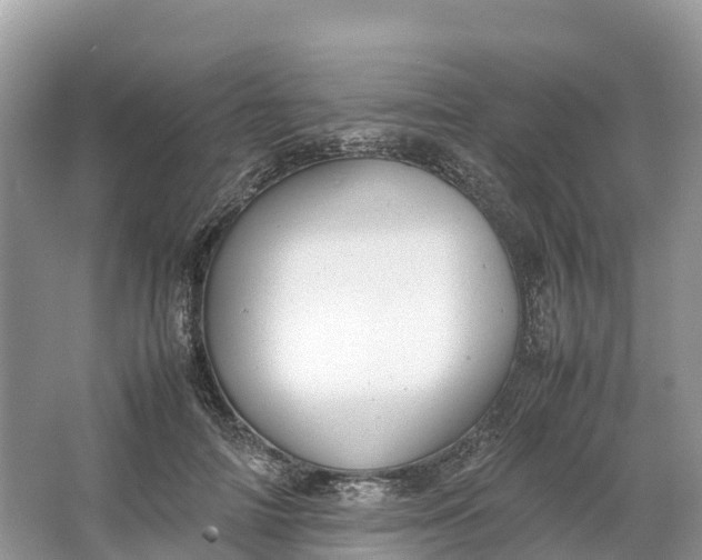 X0000064750698200602241836