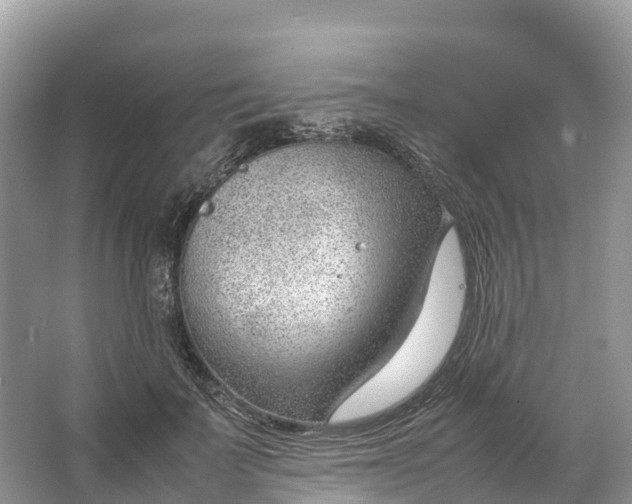 X0000064750699200602241836