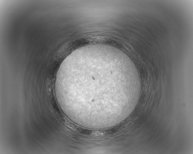 X0000064750701200602241836