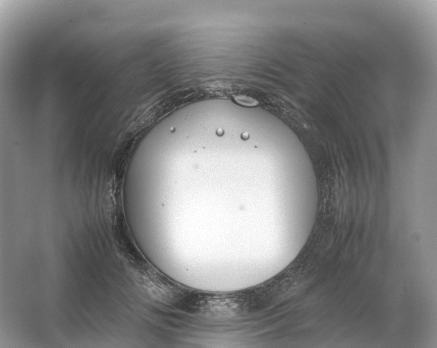 X0000064750702200602241836