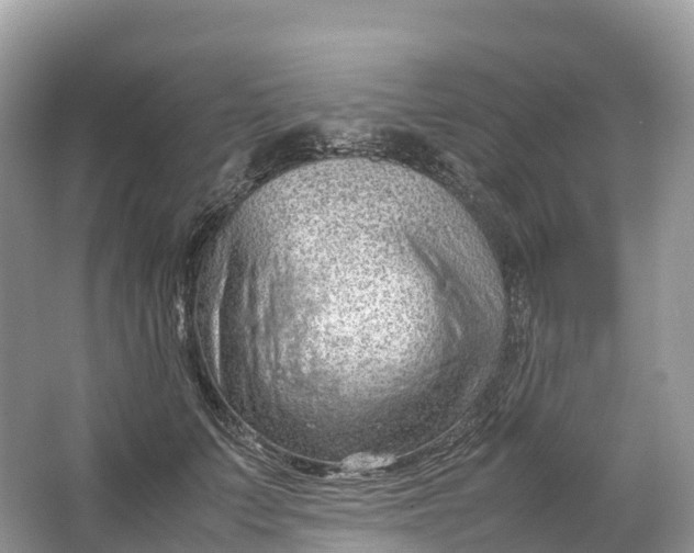 X0000064750703200602241836