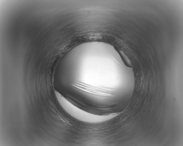 X0000064750704200602241836