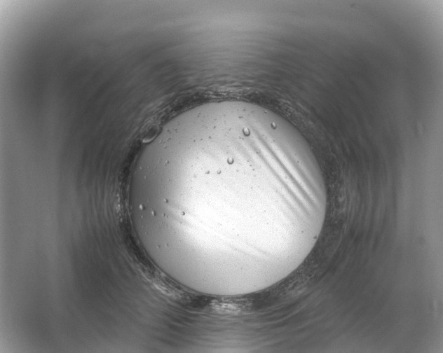 X0000064750706200602241836