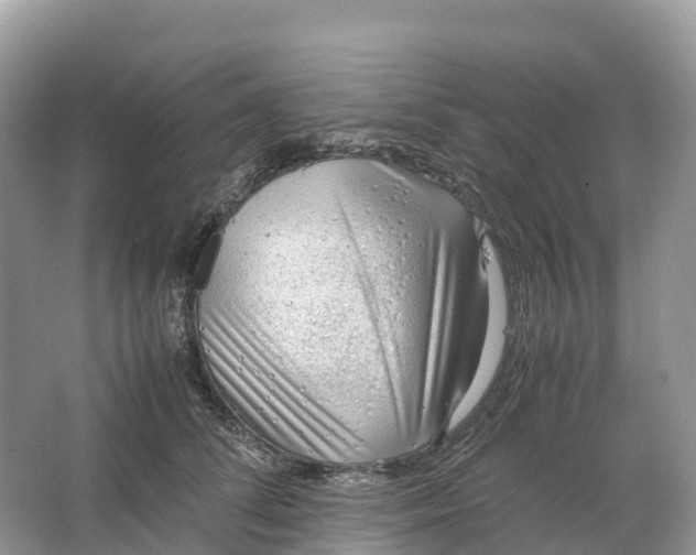 X0000064750708200602241836