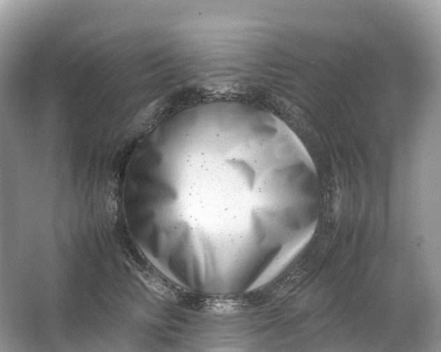 X0000064750710200602241836