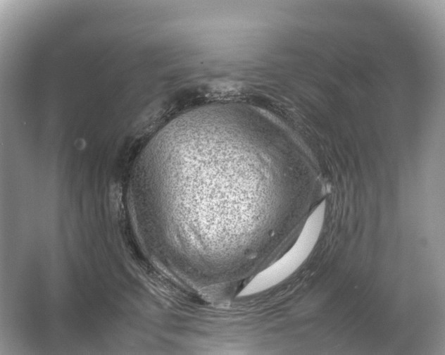 X0000064750711200602241836