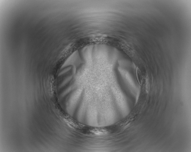 X0000064750712200602241836