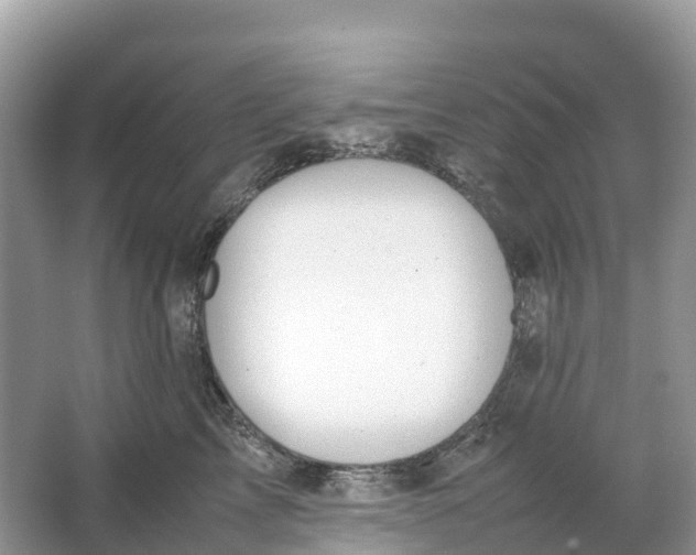 X0000064750713200602241836