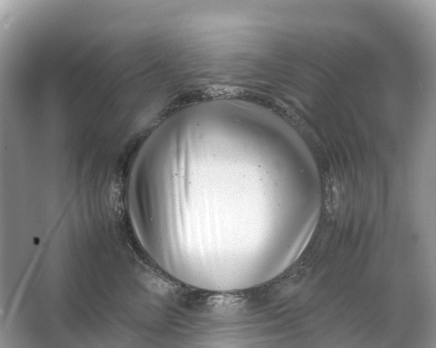 X0000064750714200602241836