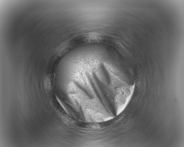 X0000064750715200602241836