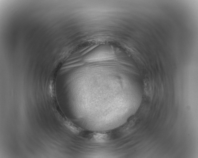 X0000064750718200602241836