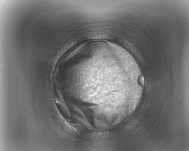 X0000064750721200602241835