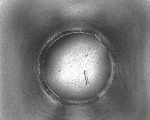 X0000064750722200602241835