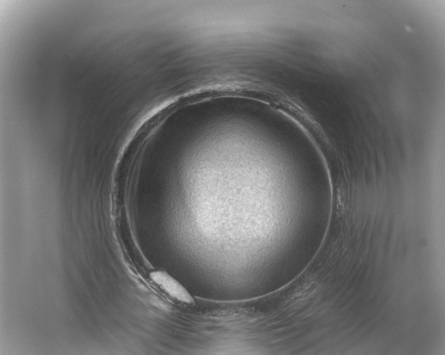 X0000064750724200602241835