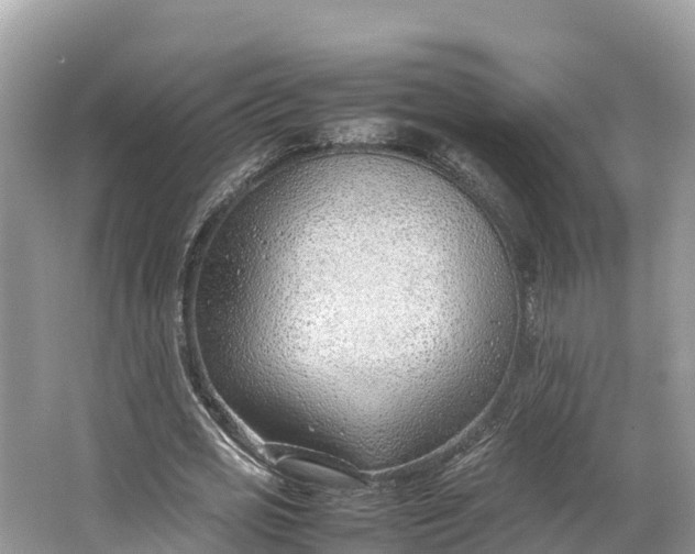 X0000064750725200602241835