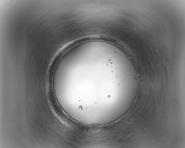 X0000064750728200602241835