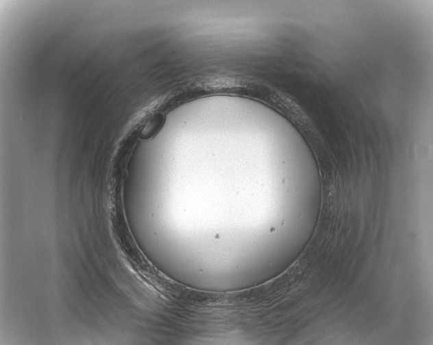 X0000064750732200602241835