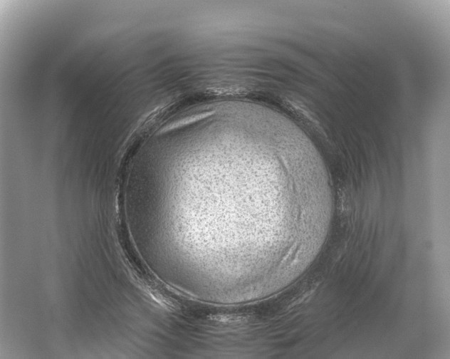 X0000064750733200602241835