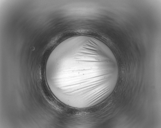 X0000064750734200602241835